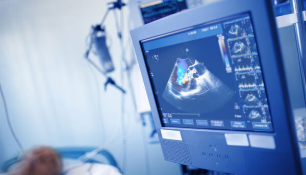Basic Echo in Life Support Course Basic Echo in Life Support Course