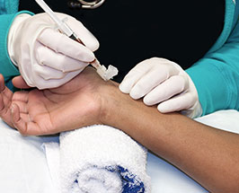 Zedu Vascular Access ultrasound course