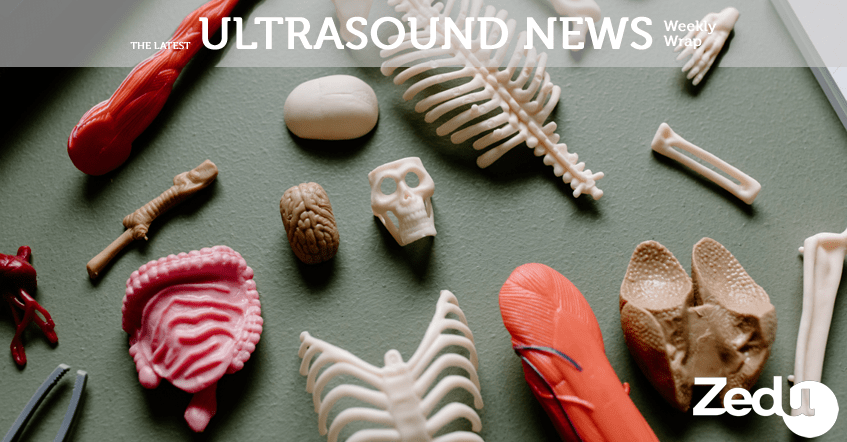 Zedu Weekly Wrap – 23 July 2021
