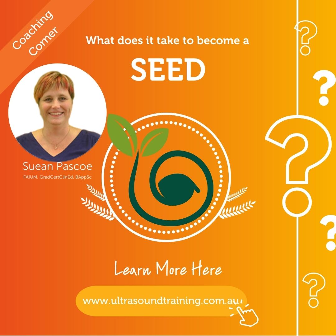 What does it take to become a sonographer educator in the emergency department (SEED)