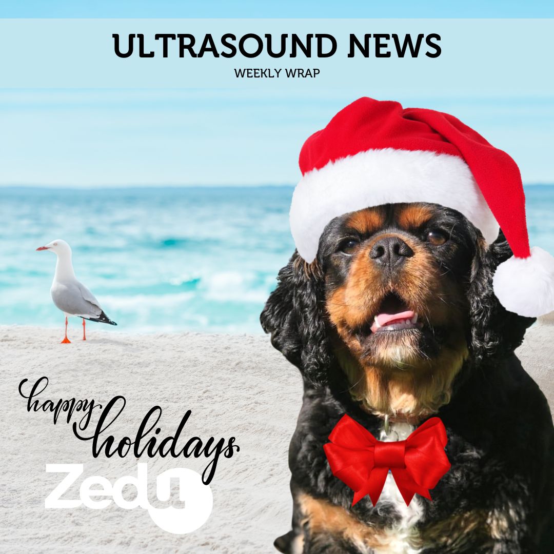 The Zedu weekly wrap - bringing together the best in free ultrasound news, views and opinions from across the internet.