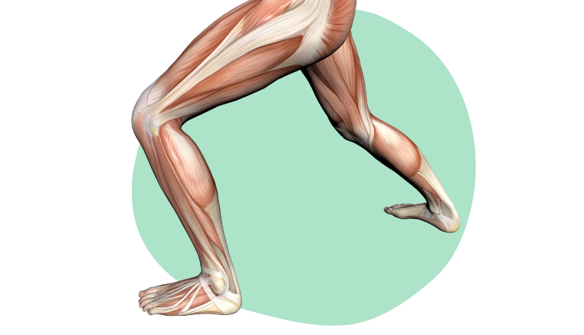 Zedu Lower Limb Musculoskeletal Ultrasound for Sonographers course - join us for an immersive and practical experience to fast-track your skills development and get you work-ready