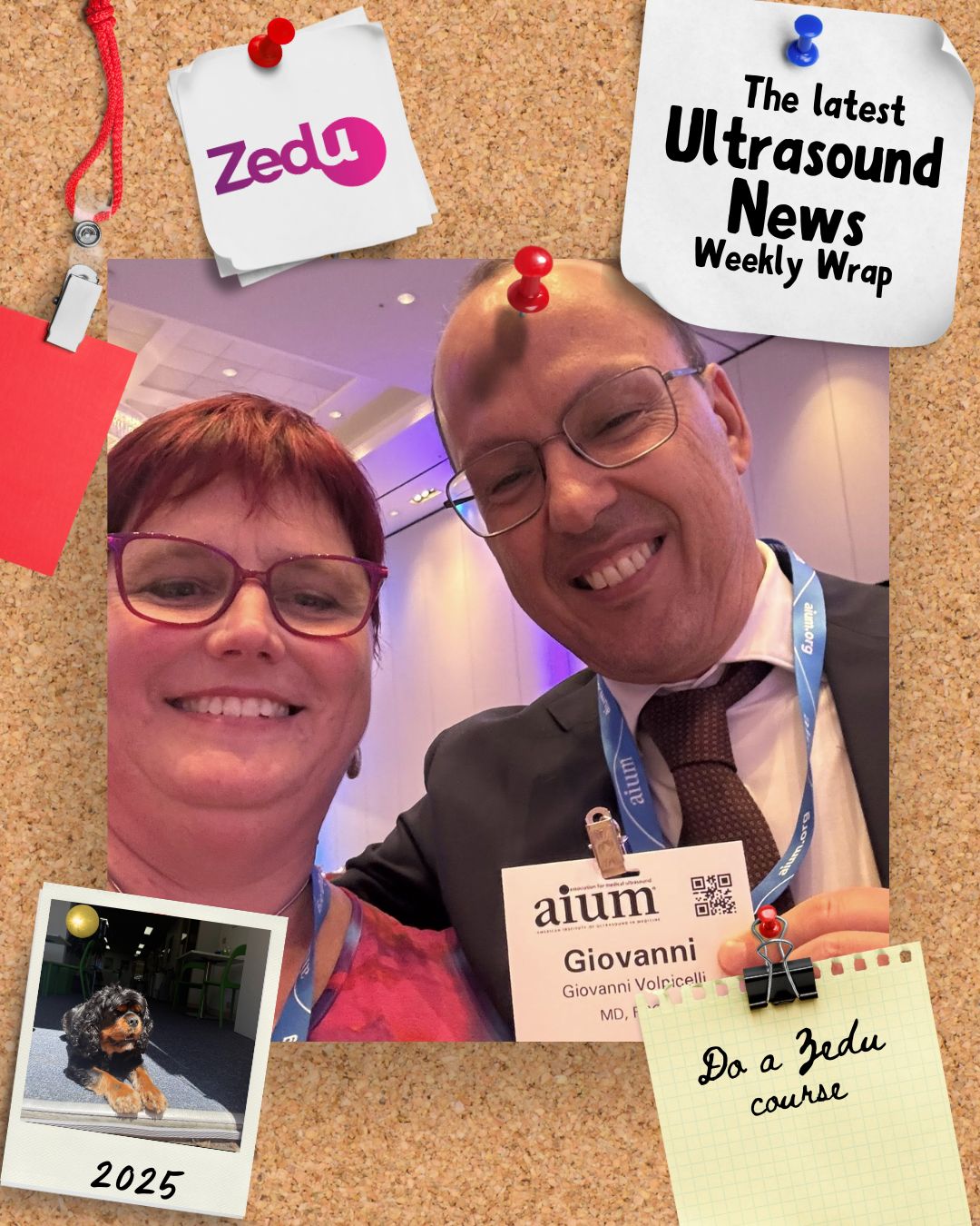 The Zedu weekly wrap - bringing together the best in free ultrasound news, views and opinions from across the internet.