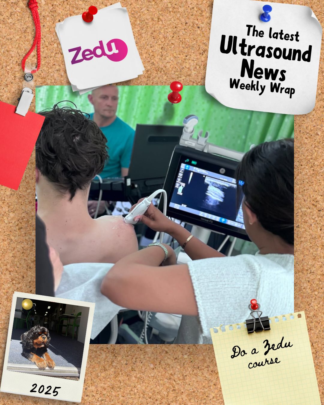 The Zedu weekly wrap - bringing together the best in free ultrasound news, views and opinions from across the internet.
