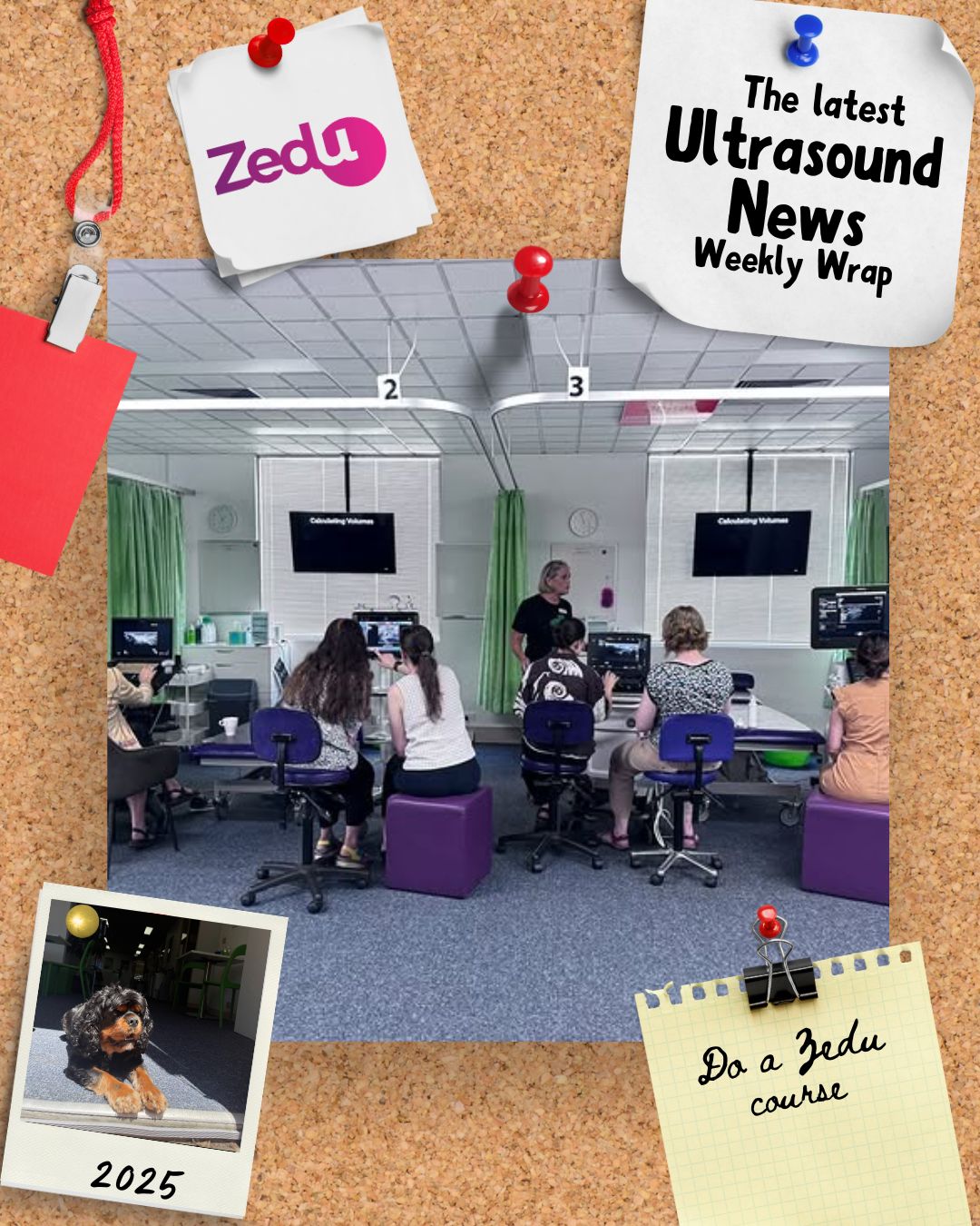 The Zedu weekly wrap - bringing together the best in free ultrasound news, views and opinions from across the internet.