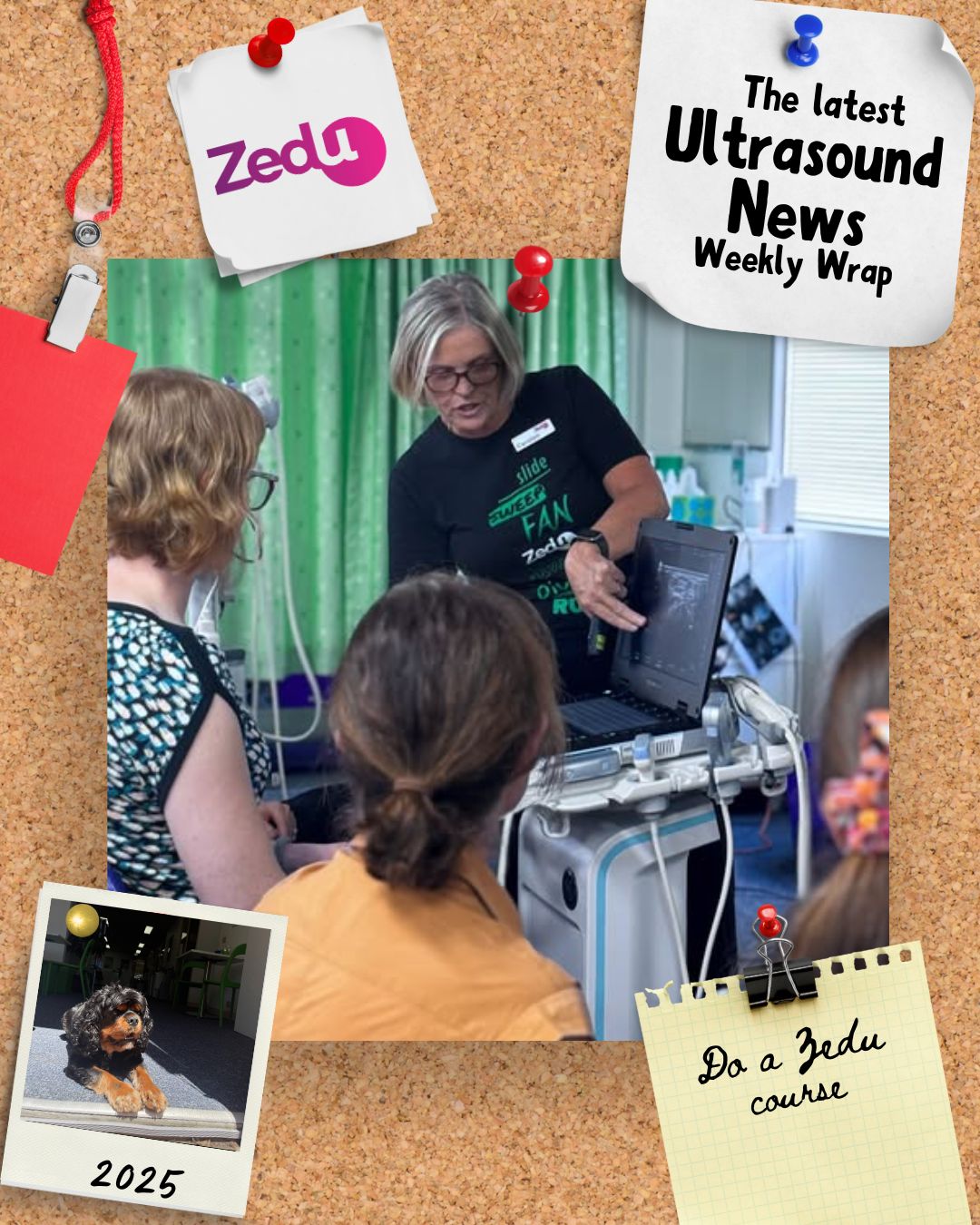 The Zedu weekly wrap - bringing together the best in free ultrasound news, views and opinions from across the internet.