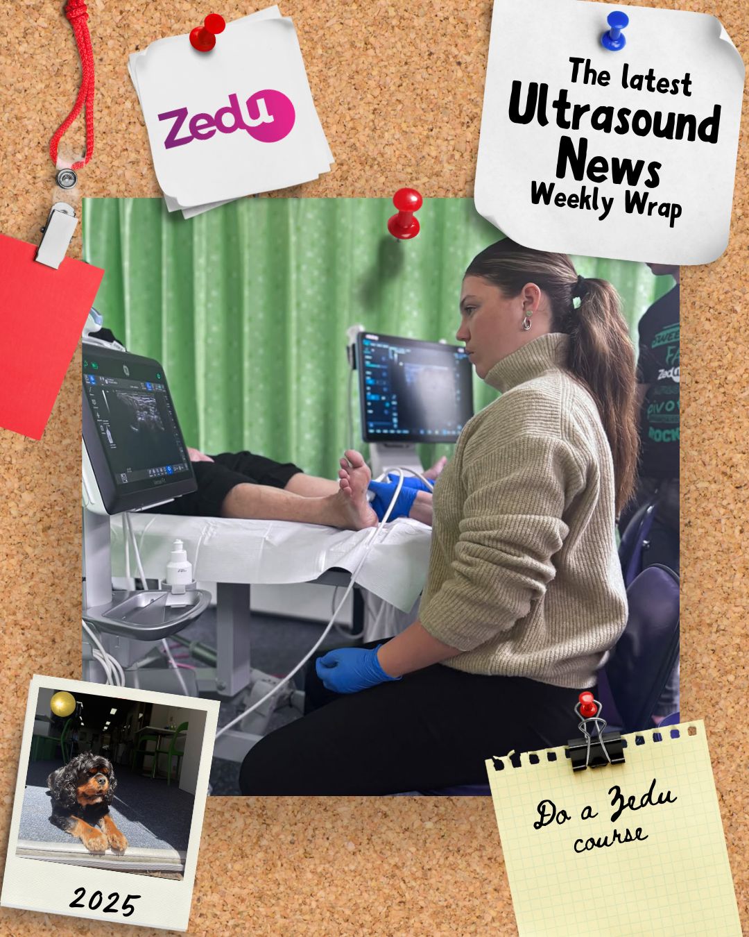 The Zedu weekly wrap - bringing together the best in free ultrasound news, views and opinions from across the internet.