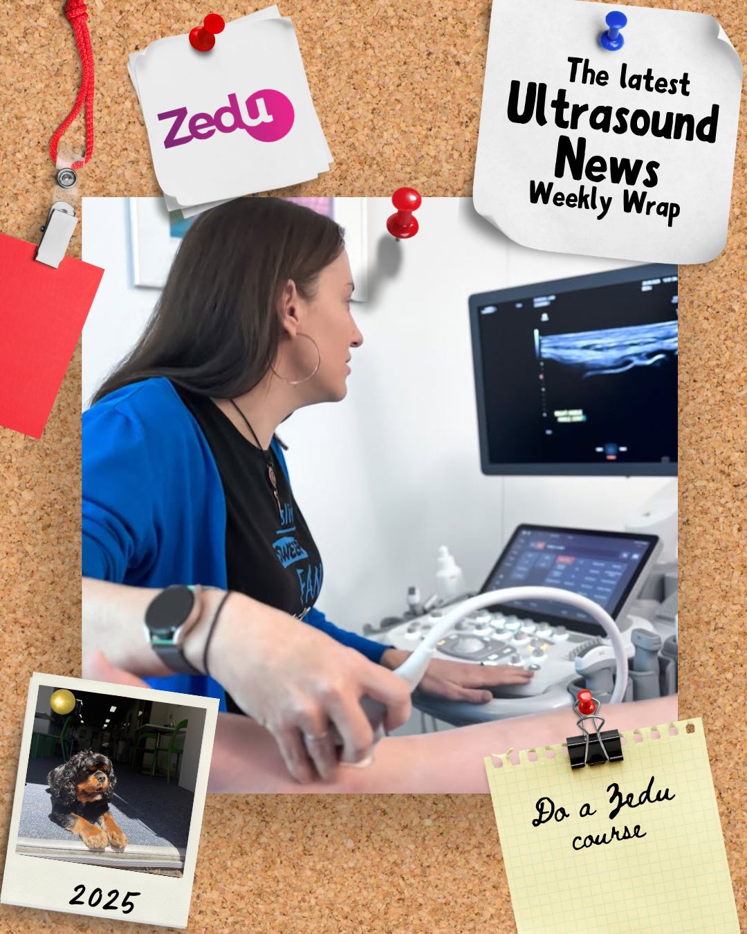 The Zedu weekly wrap - bringing together the best in free ultrasound news, views and opinions from across the internet.