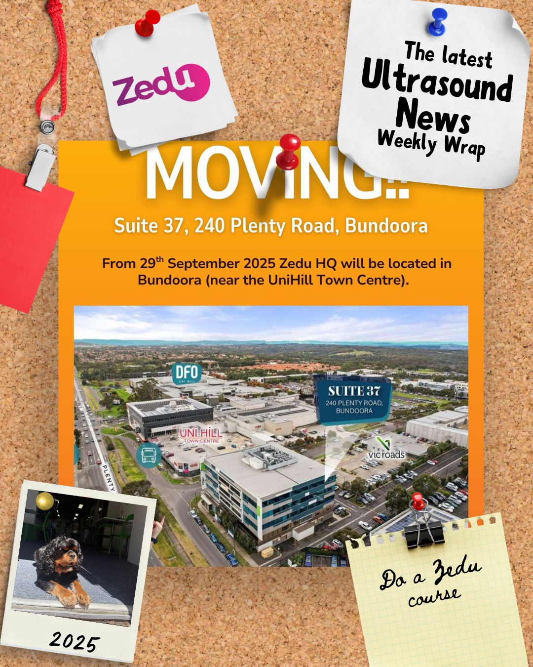 The Zedu weekly wrap - bringing together the best in free ultrasound news, views and opinions from across the internet.