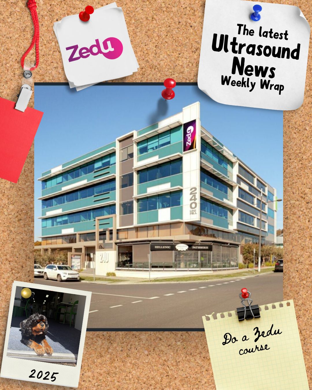 The Zedu weekly wrap - bringing together the best in free ultrasound news, views and opinions from across the internet.