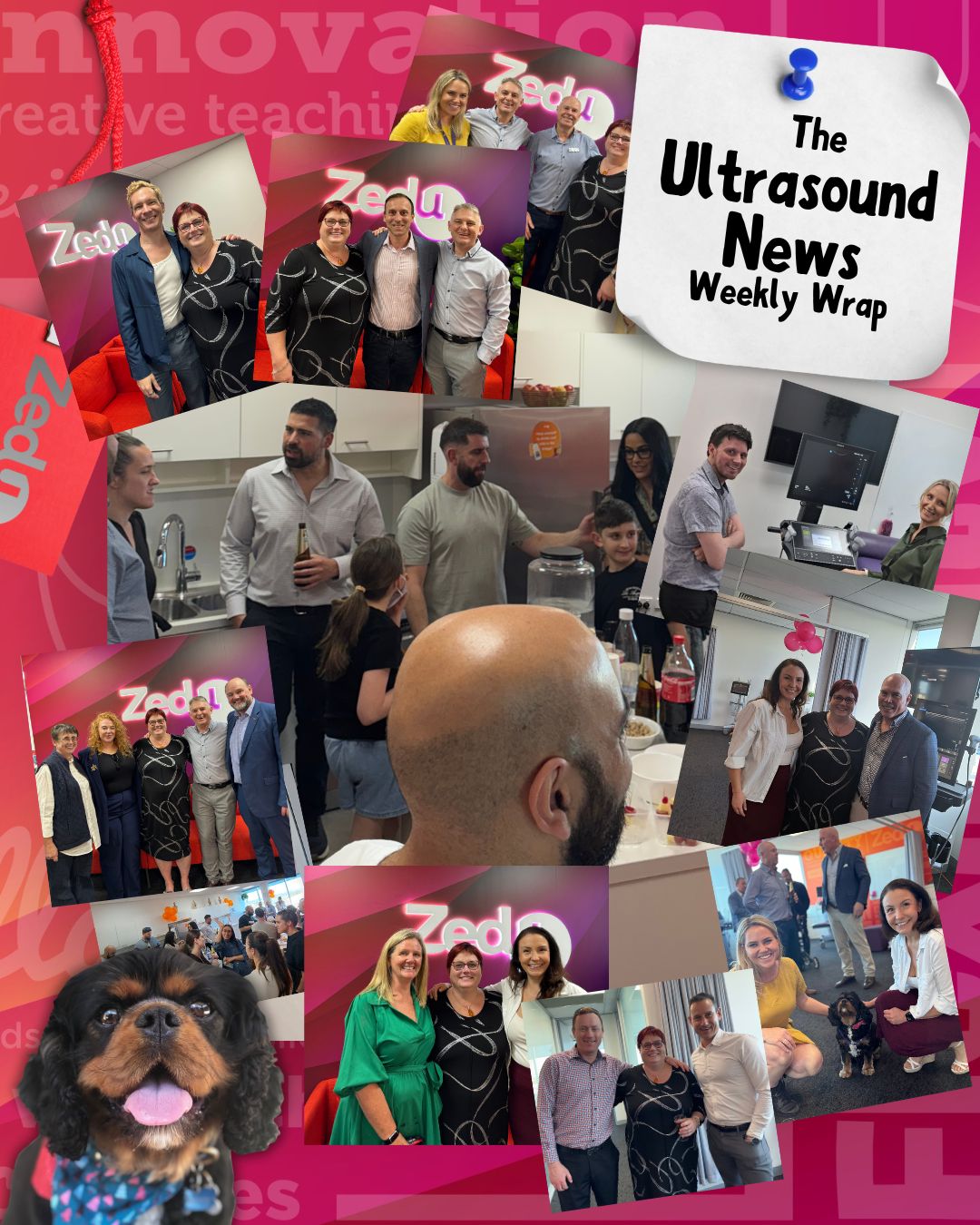 The Zedu weekly wrap - bringing together the best in free ultrasound news, views and opinions from across the internet.